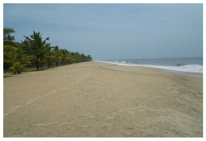 Marari Beach Paradise Марарикулам Екстериор снимка